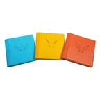 Eeveelution Gift Box - Flareon (Simplified Chinese)